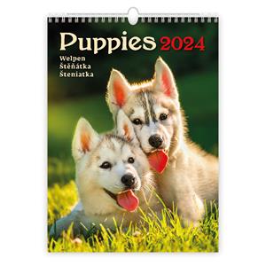 Wall Calendar 2024 - Puppies