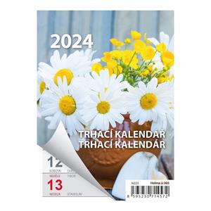 Wall Calendar 2024 Tear off A6