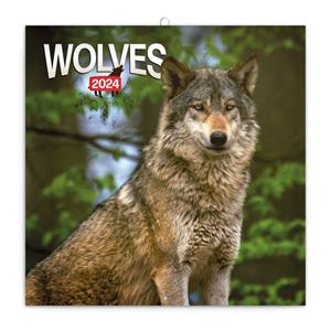 Wall Calendar 2024 Wolves