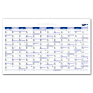 Wall planning map 2025 CZ - 100 x 63 cm - blue