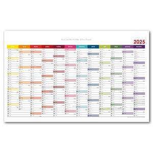 Wall planning map 2025 CZ - 100 x 63 cm - color