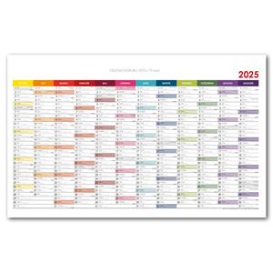 Wall planning map 2025 PL - 100 x 63 cm - color