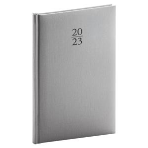 Weekly Diary 2023 A5 Capys - silver